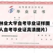 东北林业大学自考毕业证样图（黑龙江成人自考毕业证高清图片）