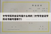 中专学历毕业证号是什么样的（中专毕业证学历证书编号是哪个）