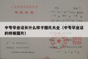 中专毕业证长什么样子图片大全（中专毕业证的样板图片）