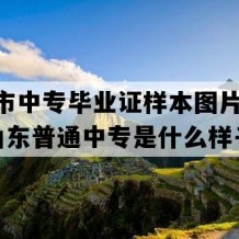 聊城市中专毕业证样本图片(1993年山东普通中专是什么样子的）