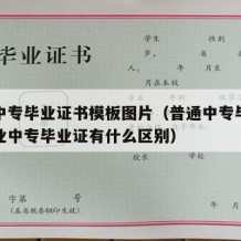 普通中专毕业证书模板图片（普通中专毕业证和职业中专毕业证有什么区别）