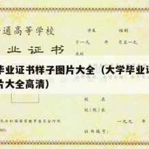 大学毕业证书样子图片大全（大学毕业证书样子图片大全高清）