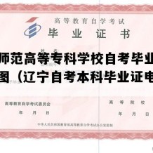 铁岭师范高等专科学校自考毕业证高清样图（辽宁自考本科毕业证电子版图）