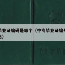 中专毕业证编码是哪个（中专毕业证编号是什么意思）