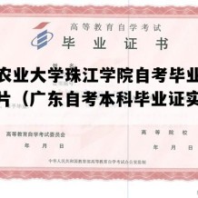 华南农业大学珠江学院自考毕业证模板图片（广东自考本科毕业证实拍图片）