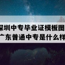 广东深圳中专毕业证模板图片(2012年广东普通中专是什么样子的）