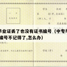 中专毕业证丢了也没有证书编号（中专毕业证丢了,编号不记得了,怎么办）