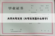 大学大专文凭（大专文凭是什么样子）