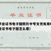 中专毕业证书电子版照片中专文凭有用吗（中专毕业证书电子版怎么看）