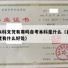 自考本科文凭有用吗自考本科是什么（自考本科文凭有什么好处）