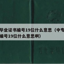 中专毕业证书编号19位什么意思（中专毕业证书编号19位什么意思啊）