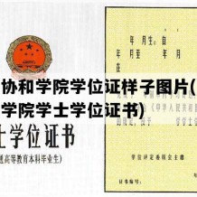 山东协和学院学位证样子图片(山东协和学院学士学位证书)