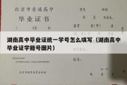 湖南高中毕业证统一学号怎么填写（湖南高中毕业证学籍号图片）