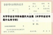 大学毕业证书样本图片大全集（大学毕业证书是什么样子的）