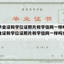 大学毕业证和学位证照片和学信网一样吗（大学毕业证和学位证照片和学信网一样吗安全吗）