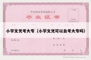 小学文凭考大专（小学文凭可以自考大专吗）