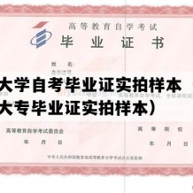 南华大学自考毕业证实拍样本（湖南自考大专毕业证实拍样本）