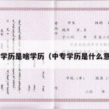 中专学历是啥学历（中专学历是什么意思?）