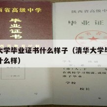 清华大学毕业证书什么样子（清华大学毕业证书长什么样）