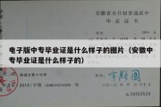 电子版中专毕业证是什么样子的图片（安徽中专毕业证是什么样子的）