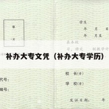 补办大专文凭（补办大专学历）