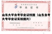 山东大学自考毕业证样图（山东自考大专毕业证实拍图片）