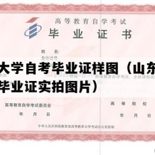 山东大学自考毕业证样图（山东自考大专毕业证实拍图片）