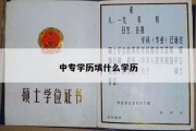 中专学历填什么学历