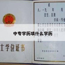 中专学历填什么学历