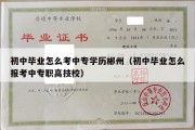 初中毕业怎么考中专学历郴州（初中毕业怎么报考中专职高技校）