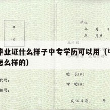 中专毕业证什么样子中专学历可以用（中专毕业证怎么样的）