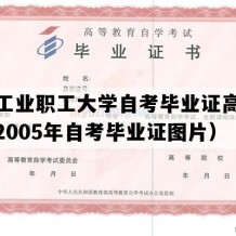 衡阳工业职工大学自考毕业证高清模板（2005年自考毕业证图片）