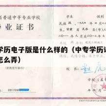 中专学历电子版是什么样的（中专学历证书电子版怎么弄）