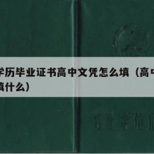 高中学历毕业证书高中文凭怎么填（高中毕业学历填什么）