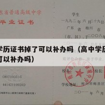 高中学历证书掉了可以补办吗（高中学历证书掉了可以补办吗）