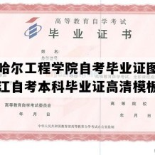 齐齐哈尔工程学院自考毕业证图片（黑龙江自考本科毕业证高清模板）