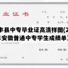 长丰县中专毕业证高清样图(2006年安徽普通中专学生成绩单）