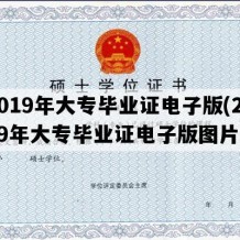 2019年大专毕业证电子版(2019年大专毕业证电子版图片)