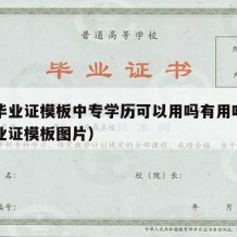 中专毕业证模板中专学历可以用吗有用吗（中专毕业证模板图片）