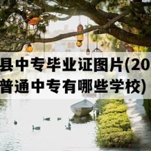 衡阳县中专毕业证图片(2016年湖南普通中专有哪些学校)