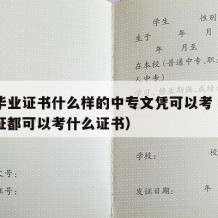 中专毕业证书什么样的中专文凭可以考（中专毕业证都可以考什么证书）