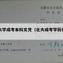 北京大学成考本科文凭（北大成考学历有用吗）