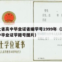 湖北省高中毕业证省编学号1999年（湖北高中毕业证学籍号图片）