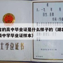 湖北省的高中毕业证是什么样子的（湖北省普通高级中学毕业证样本）