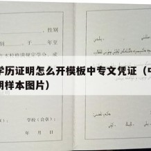 中专学历证明怎么开模板中专文凭证（中专学历证明样本图片）