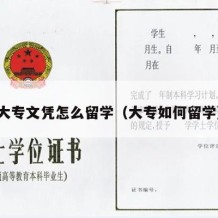 大专文凭怎么留学（大专如何留学）