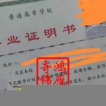 毕业证补办申请怎么写啊(毕业证补办去学校哪个部门申请)