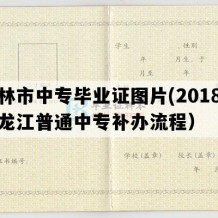 虎林市中专毕业证图片(2018年黑龙江普通中专补办流程）