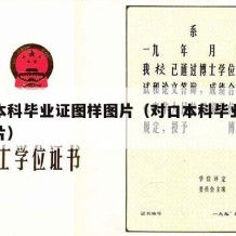 对口本科毕业证图样图片（对口本科毕业证图样图片）