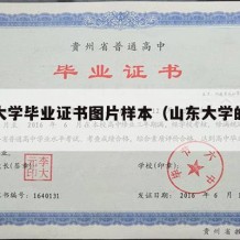 山东大学毕业证书图片样本（山东大学的毕业证书）